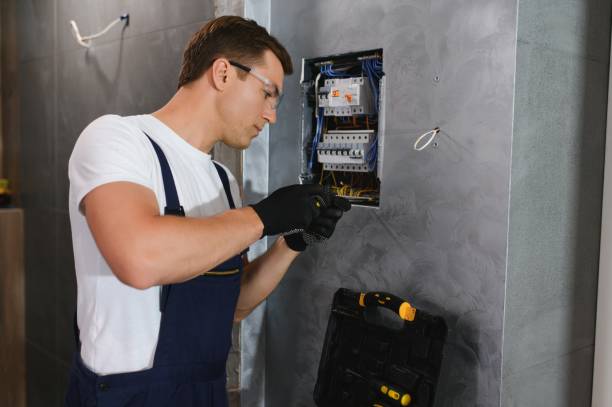 Best Electric Panel Repair  in Mount Olive, NC
