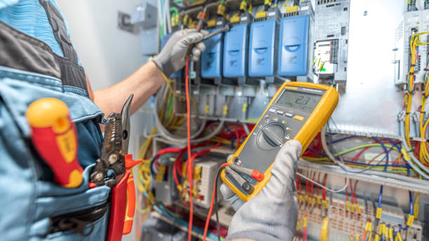 Best Electric Panel Repair  in Mount Olive, NC